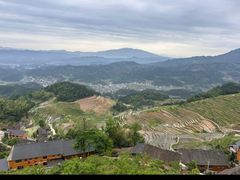 -紫鹊界梯田景区
