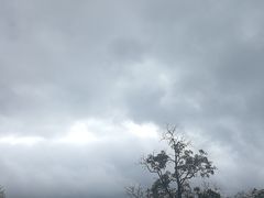 -蜜雪冰城(（时代都汇店）)
