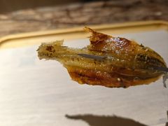 -三鼎甲烧烤城