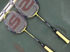 -东丽温泉羽毛球