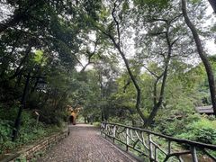 -五泄景区
