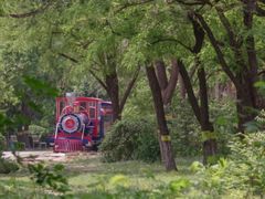 -永定河休闲森林公园