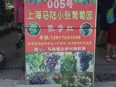 -马陆小张葡萄园农家乐