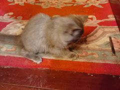 -云端咖啡私房店(河松街店)