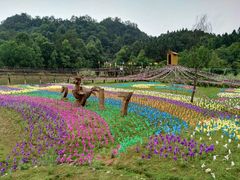 -千岛湖龙川湾