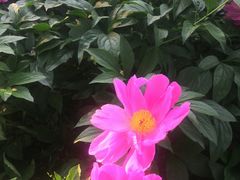 -玲珑塔公园