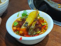 -云鱿记鱿鱼鸡·野生菌火锅(人民南路店)