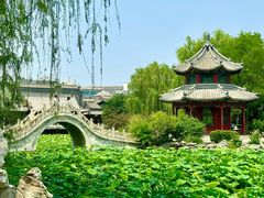 -莲池书院博物馆