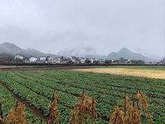-绩溪龙川景区