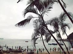-大梅沙海滨公园