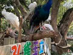 -宁波野生动物园
