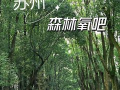 -同里国家湿地公园