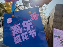 -高东镇樱花园