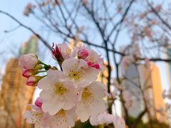 -西北湖绿化广场