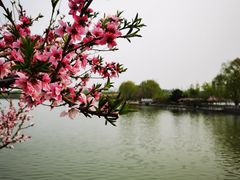 -大兴滨河森林公园