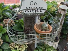 -荒度咖啡(北九水店)