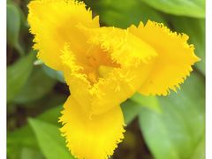 -国家植物园南园