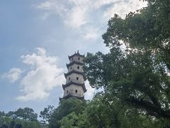 -江心屿景区