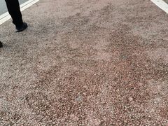 -凤岗南门山森林公园