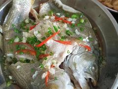 -大班家政月嫂育儿嫂(深圳NO.1店)