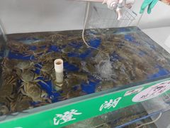 -阳澄湖大闸蟹·琼灵阁牌品牌连锁(吴中总店)