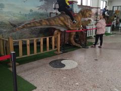 -自贡恐龙博物馆