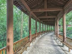 -重庆彩云湖湿地公园