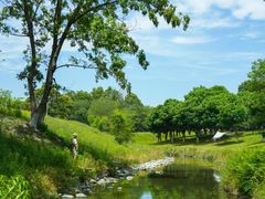 -两河城市森林公园