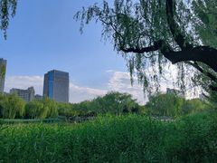-满都海公园