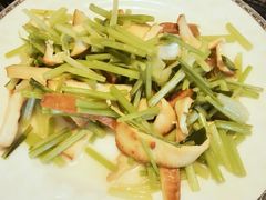 -爱的果实月嫂育婴师(世纪东方店)