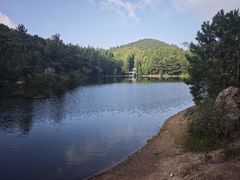 -四明山国家森林公园