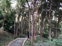 -重庆彩云湖湿地公园