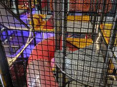 -嗨翻Hi-Fun竞技主题乐园·蹦床亲子生日轰趴(国光1937店)