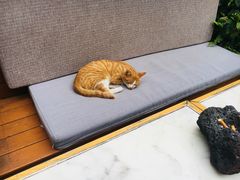 -知亘茶食