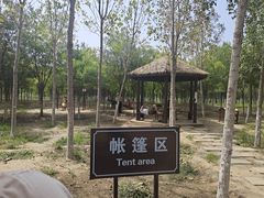 -西青郊野公园
