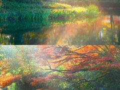 -九曜山