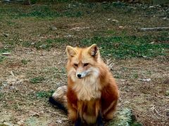 -杭州野生动物世界