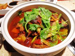 泉水焖烧鸡-先机泉水鸡汤(南山老君洞店)
