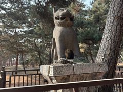 -沈阳市东陵公园