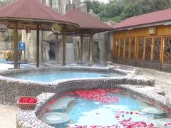 -金孔雀温泉旅游度假村