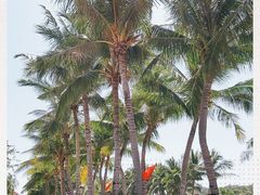 -三亚南山文化旅游区