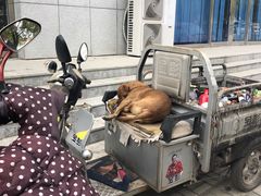 -苏尼特食府(金穗家园店)