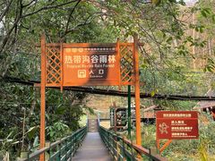 -西双版纳原始森林公园