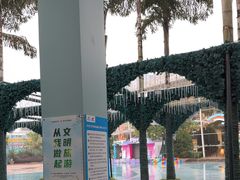-海合安成都极地海洋公园