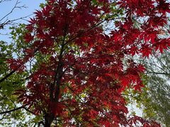 -木塔寺遗址生态公园