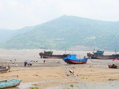 -北岐滩涂