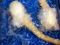 -大东海海鲜酒楼(渔人码头总店)