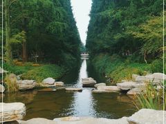 -东平国家森林公园