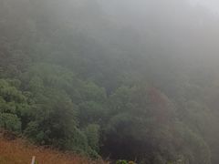 -缙云山景区
