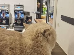 -Double cafe